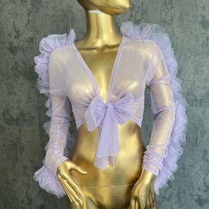 Elegant Lavender Sheer Blouse